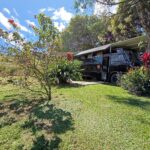 Garden Dreamcatcher Bus