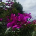 Rooms 12 IMG 20211004 092956